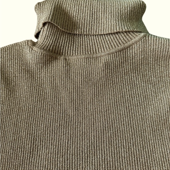 NWOT Ralph Lauren Shimmer Turtleneck - Picture 3 of 9